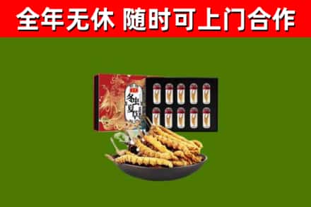 宜宾市回收冬虫夏草价格